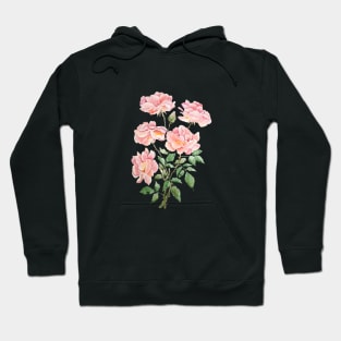 pink rose watercolor 2021 Hoodie